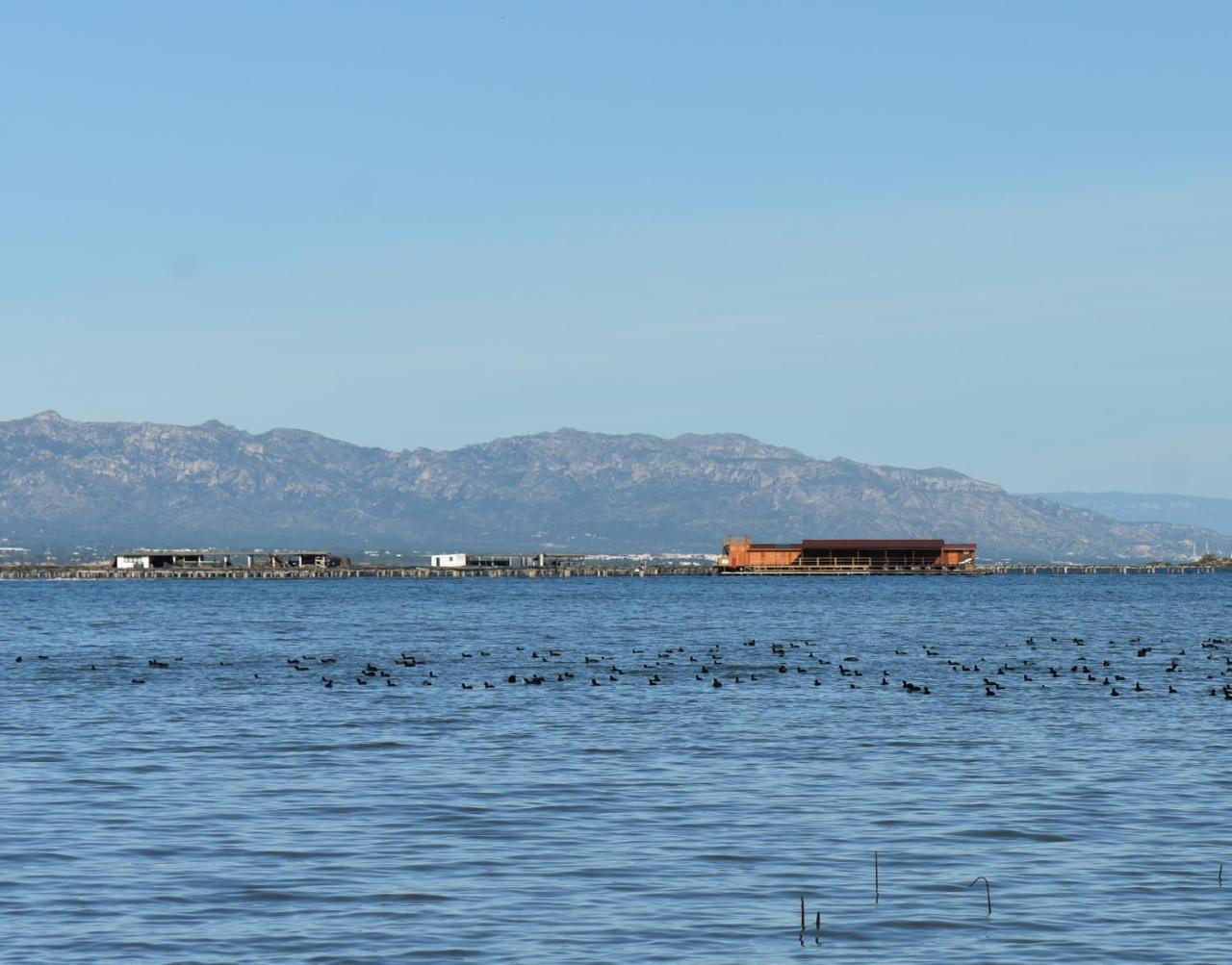 Alberg Deltebre Xanascat Bagian luar foto